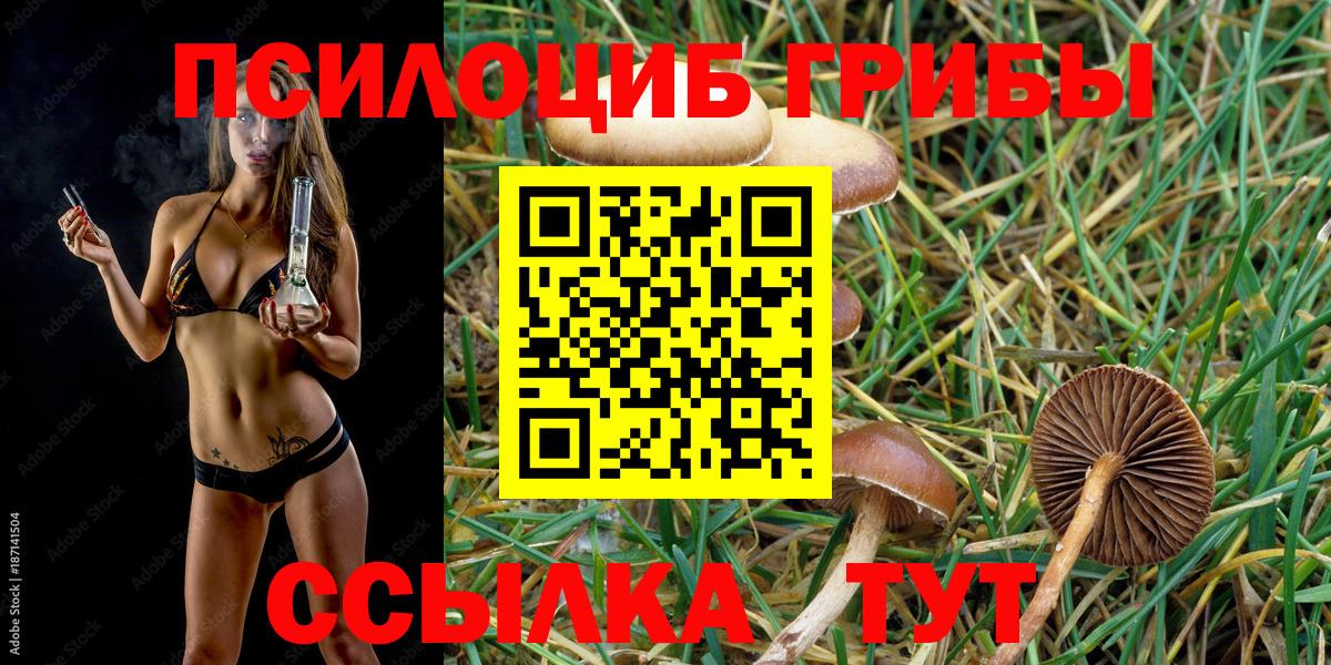 Псилоцибиновые грибы мухоморы  Галлюциногенные грибы MAGIC MUSHROOMS  Вход с VPN  Ижевск 